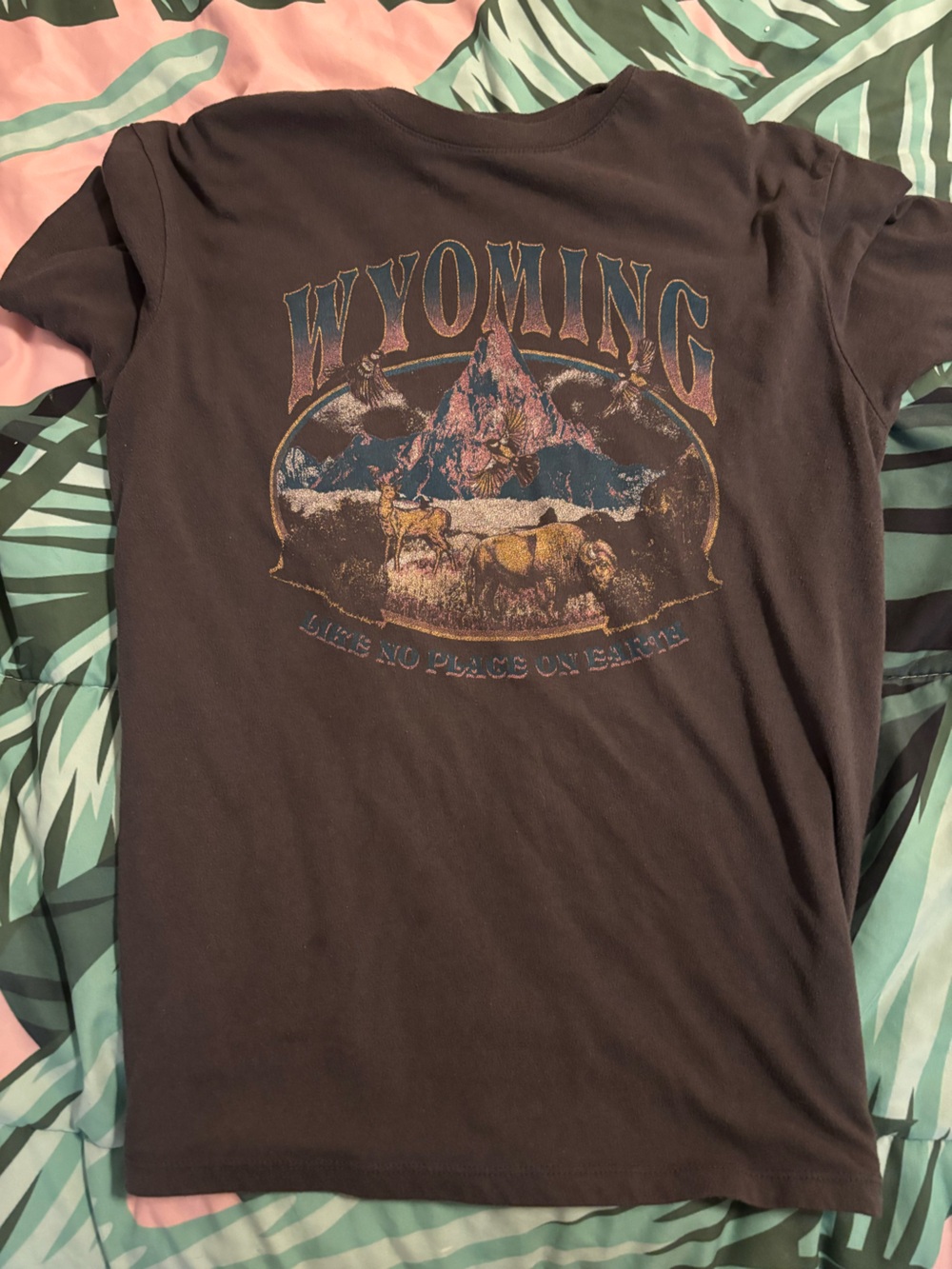 Fifth Sun Brown Graphic Tee with Multicolor Mountain Print